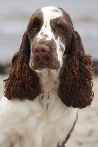 Photo: Katrin Juurak