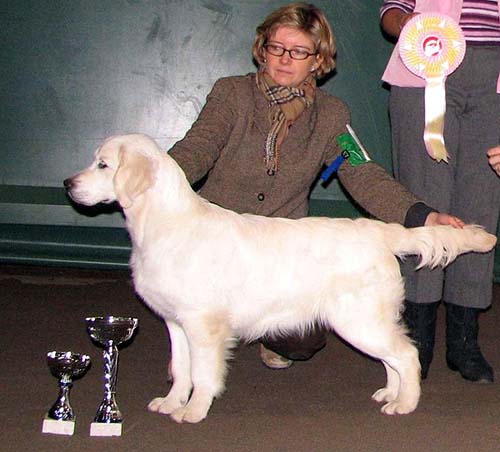 Photo: Sirpa Koivulaakso