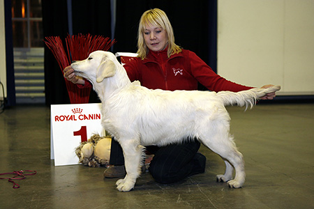 Photo: Teemu Keränen